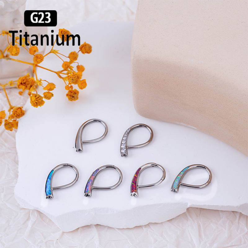 G23 Titanium Piercing High Qua - đánh giá và giá Body Piercing Quality Jewelry